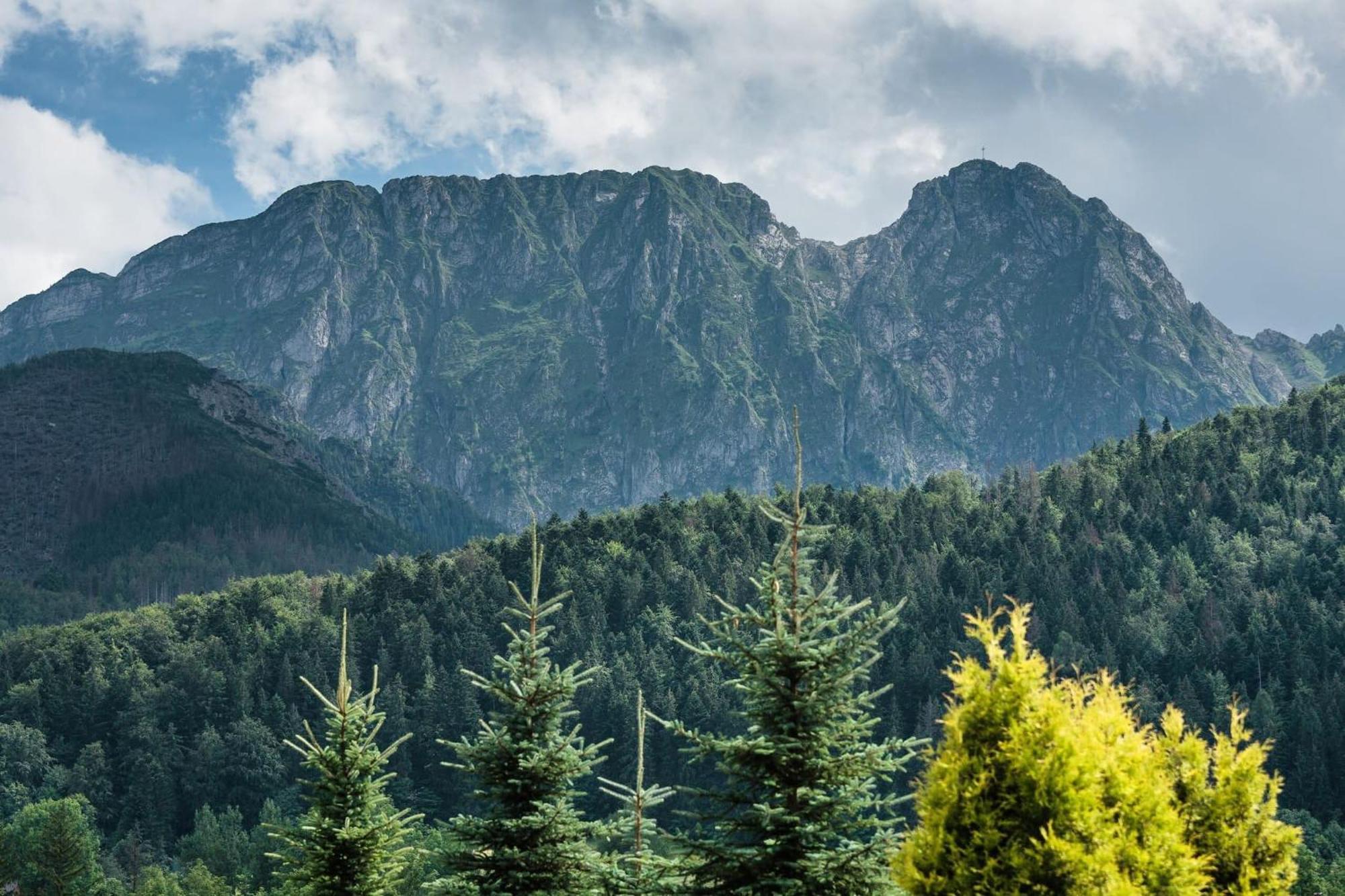 Rent Like Home - Skibowki Zakopane Exteriör bild